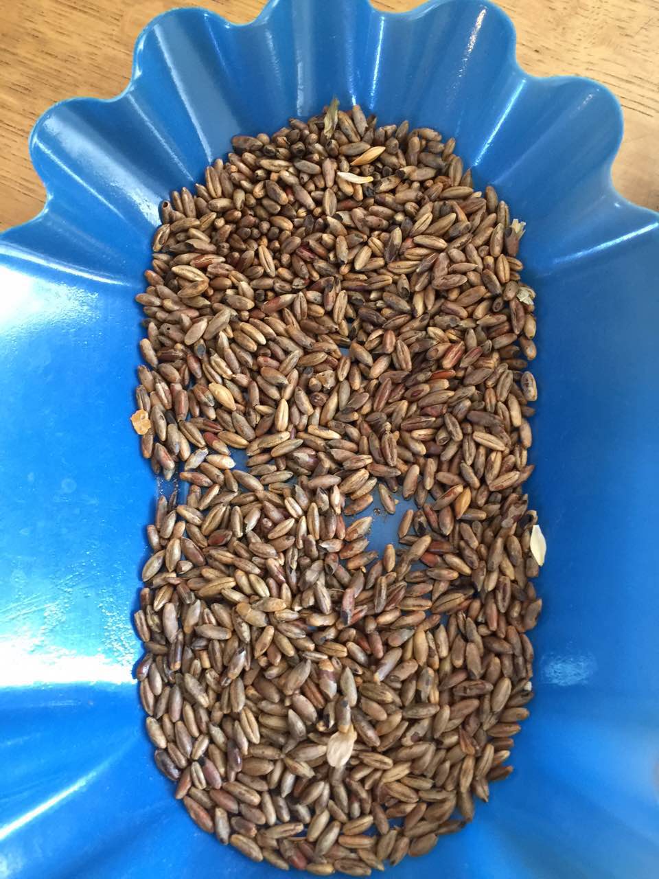 余教授德國(guó)鄉(xiāng)村行:我在德國(guó)為什么不會(huì)點(diǎn)啤酒了? 余教授德國(guó)鄉(xiāng)村行:我在德國(guó)為什么不會(huì)點(diǎn)啤酒了?