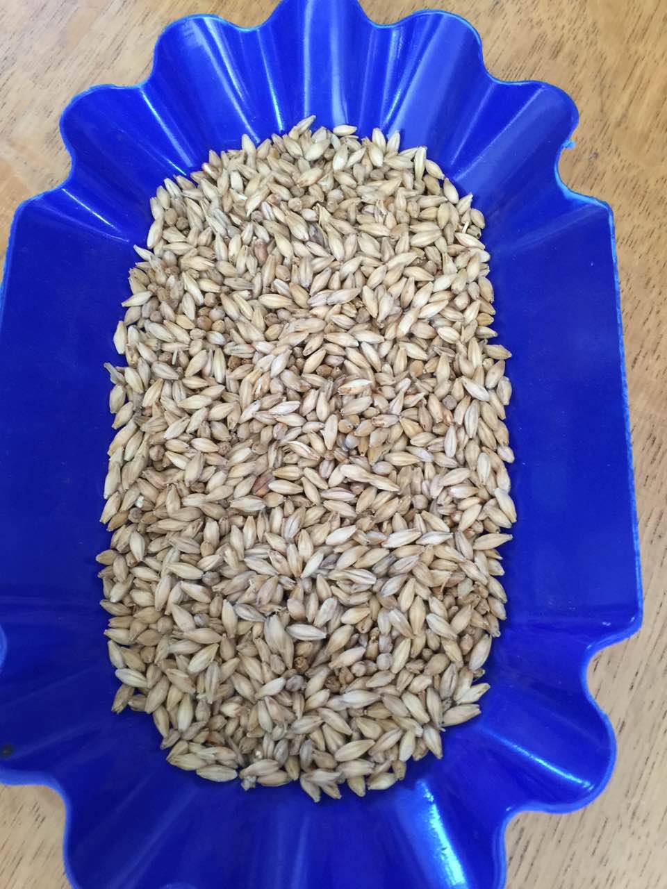 余教授德國(guó)鄉(xiāng)村行:我在德國(guó)為什么不會(huì)點(diǎn)啤酒了? 余教授德國(guó)鄉(xiāng)村行:我在德國(guó)為什么不會(huì)點(diǎn)啤酒了?