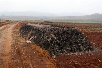 農(nóng)家肥使用不當(dāng)易出風(fēng)險 農(nóng)家肥使用不當(dāng)易出風(fēng)險