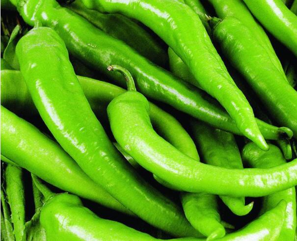 辣椒2.jpg 辣椒2.jpg