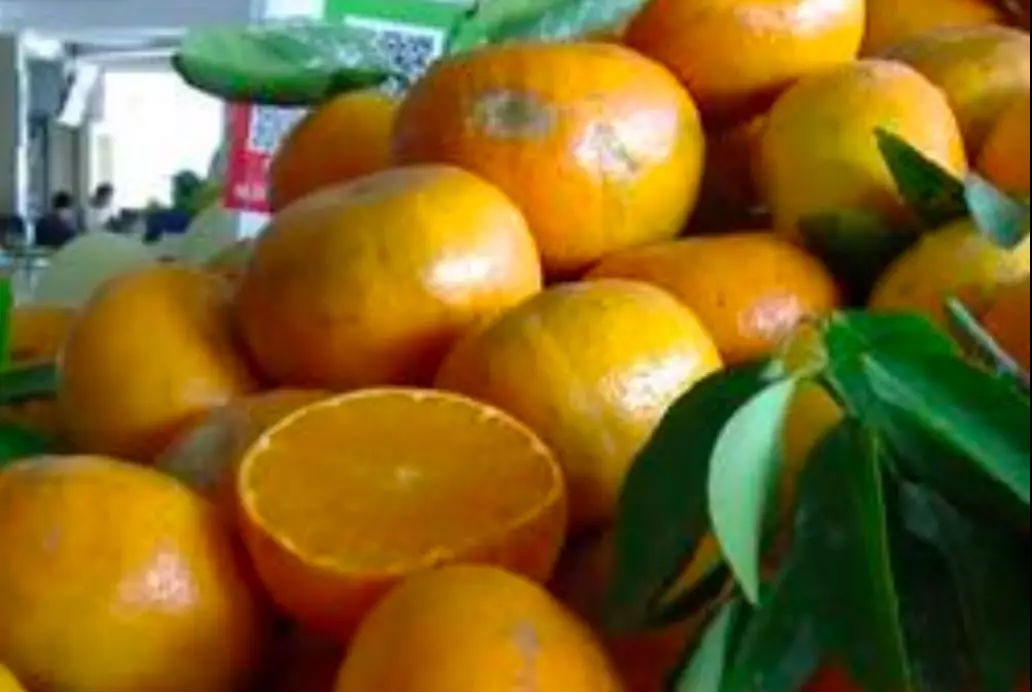 微信圖片_20191101095616.bmp 微信圖片_20191101095616.bmp