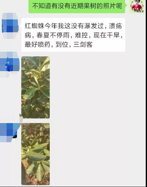 聊天記錄 聊天記錄