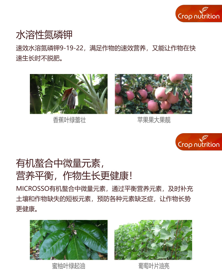 因迪樂(lè)水溶肥9-19-22