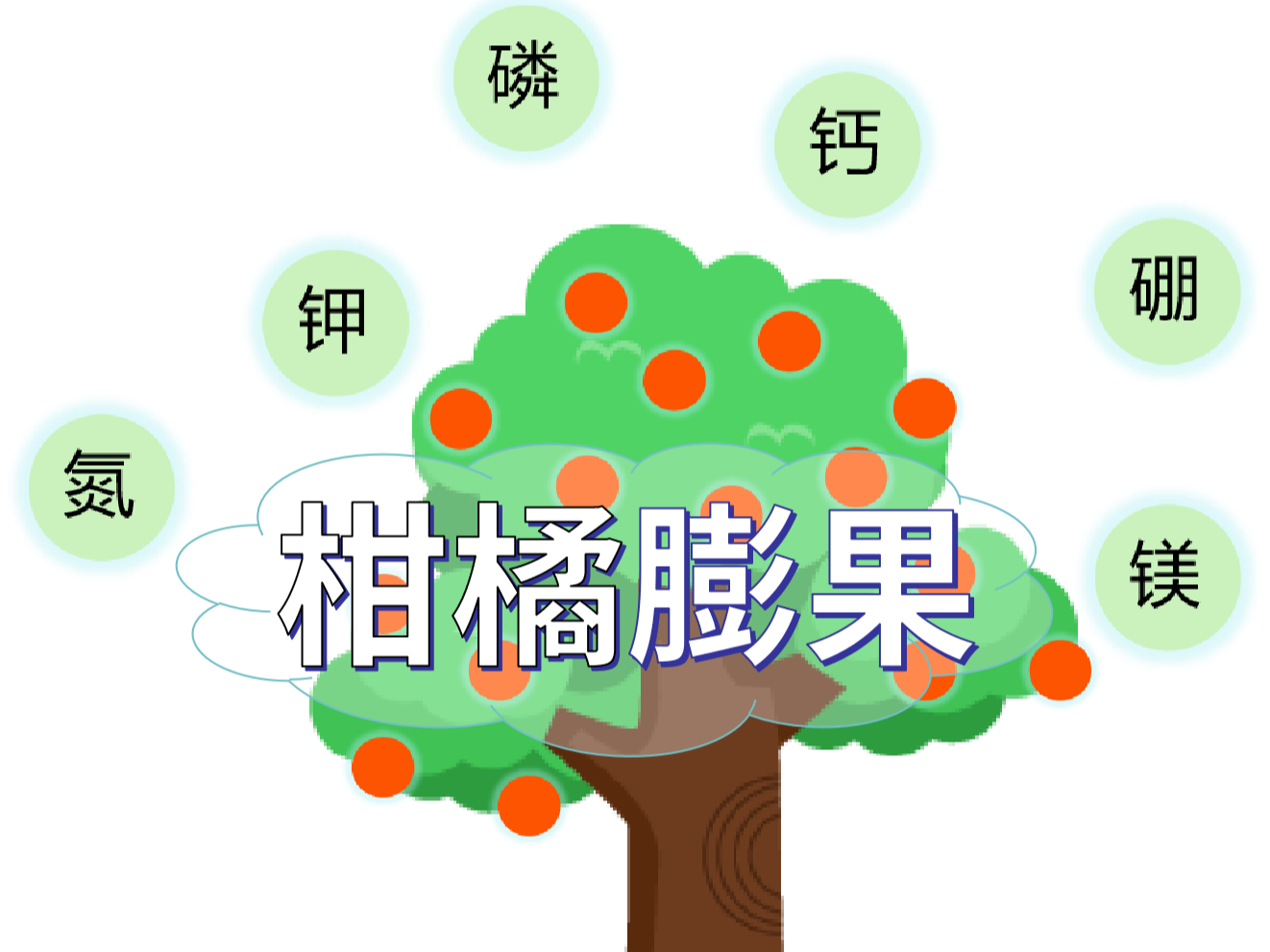 柑橘膨果慢？找準(zhǔn)原因，“對癥下藥”